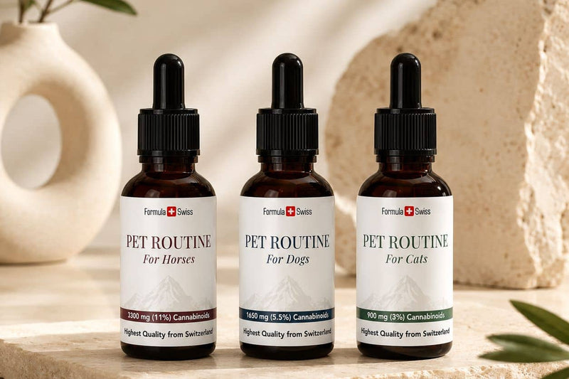 Formula Swiss Pet Routine CBD aliejai arkliams, šunims ir katėms ant akmeninio paviršiaus