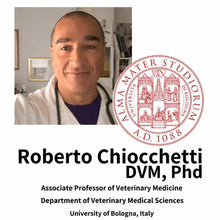 Professor Roberto Chiocchetti iš Bolonijos universiteto